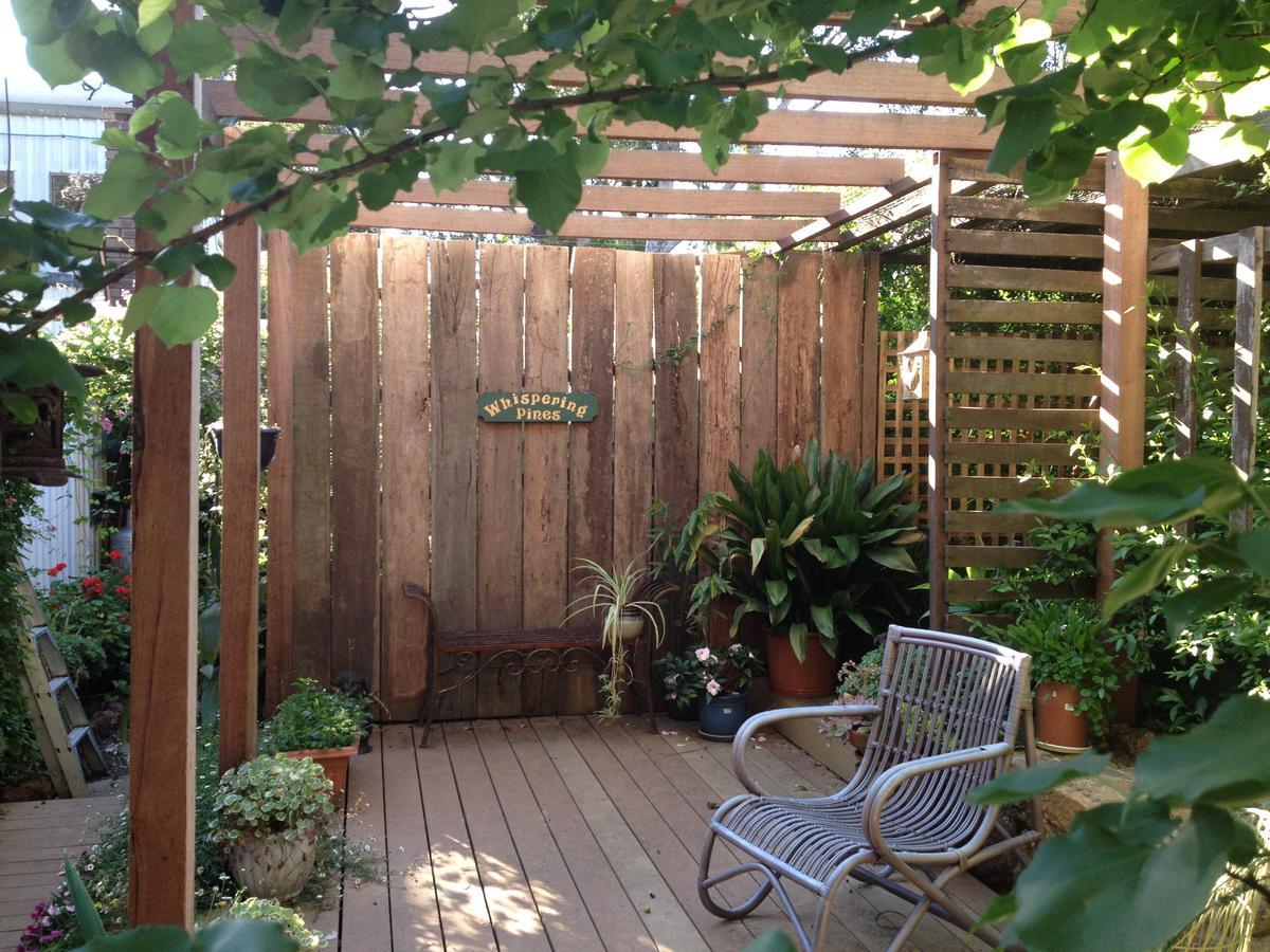 Collie Whispering Pines Bed And Breakfast المظهر الخارجي الصورة