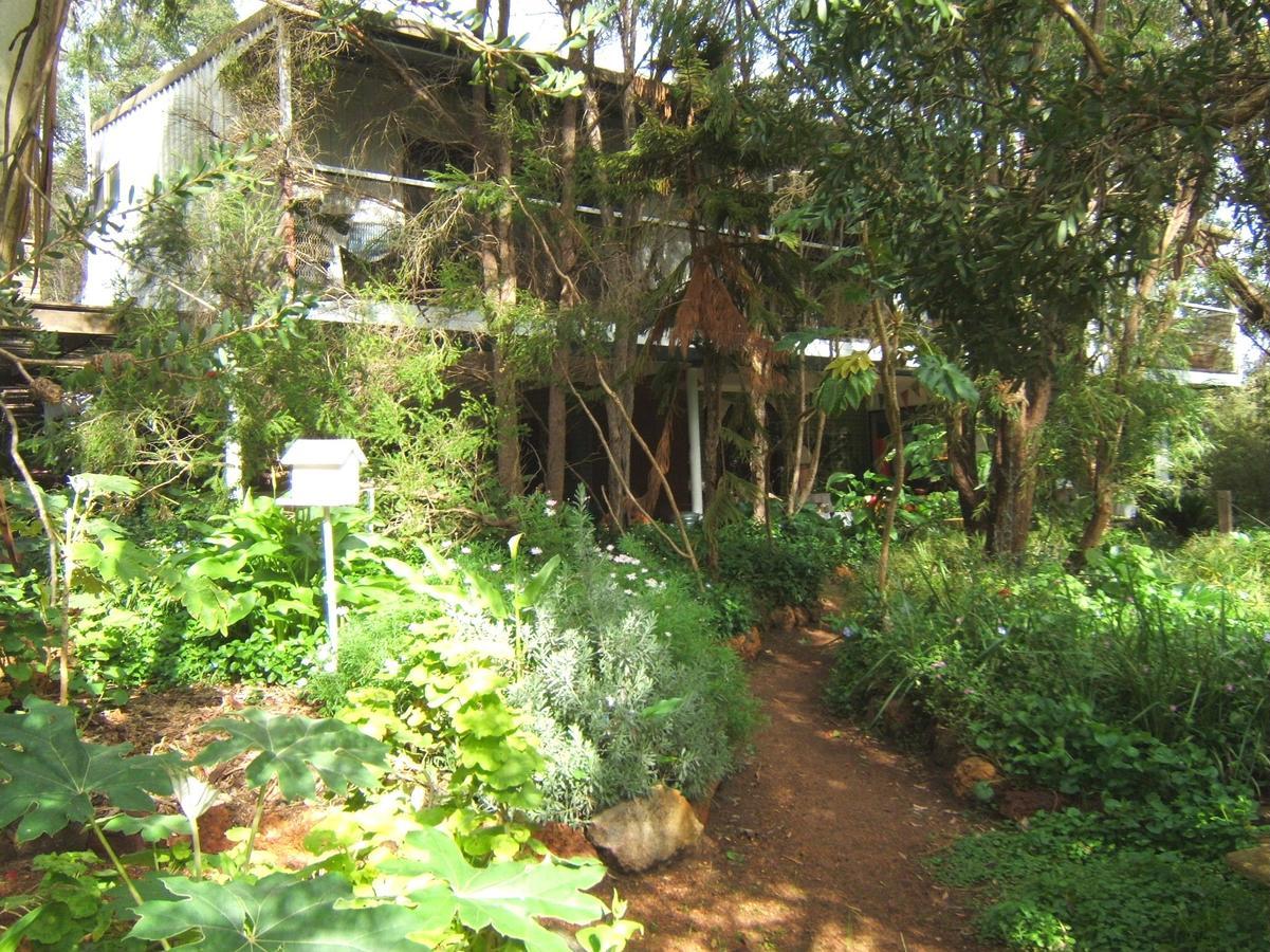 Collie Whispering Pines Bed And Breakfast المظهر الخارجي الصورة